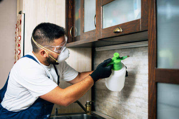 Best Affordable Pest Control Services  in Earlham, IA
