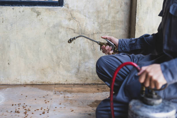 Best Flea Control Services  in Earlham, IA
